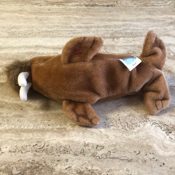 TY Walrus Beanie Baby | Paul - Picture 8 of 8